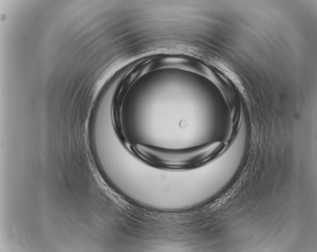 X0000087390936200704201239