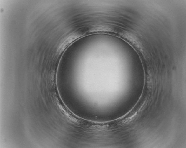 X0000087390937200704201239