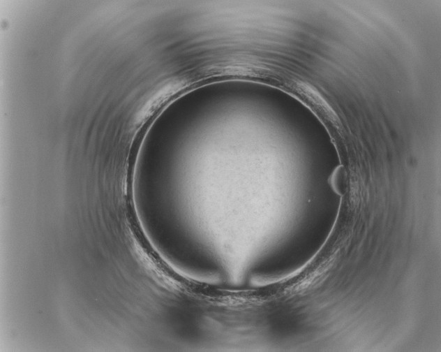 X0000087390938200704201239