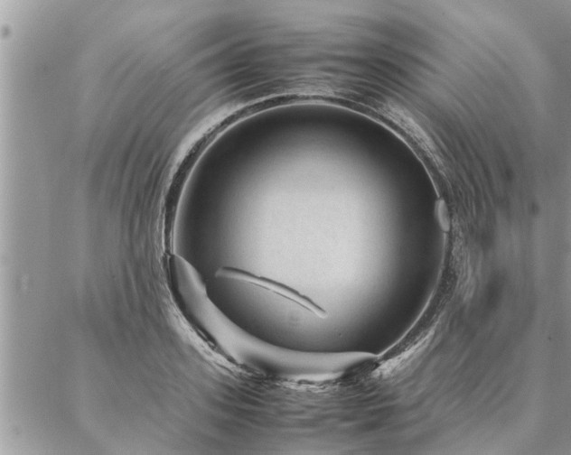 X0000087390939200704201239