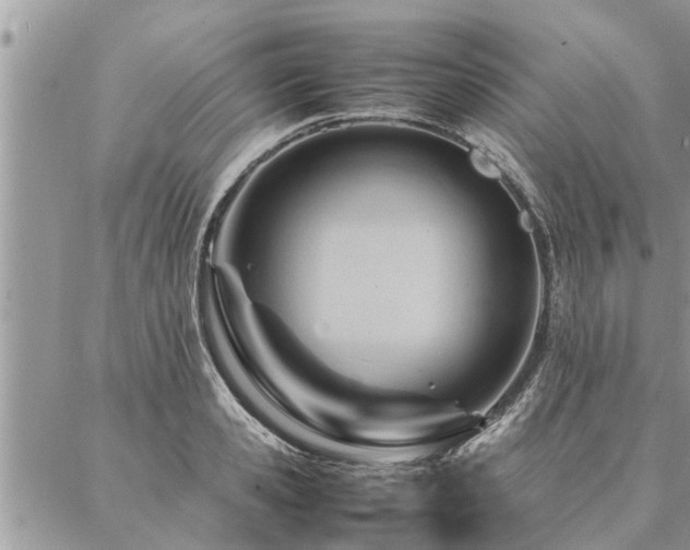 X0000087390941200704201239