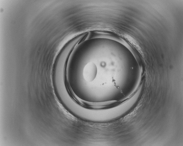 X0000087390942200704201239