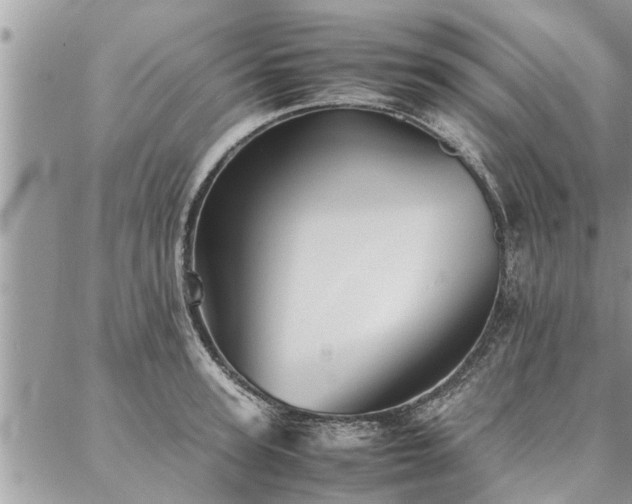 X0000087390947200704201239