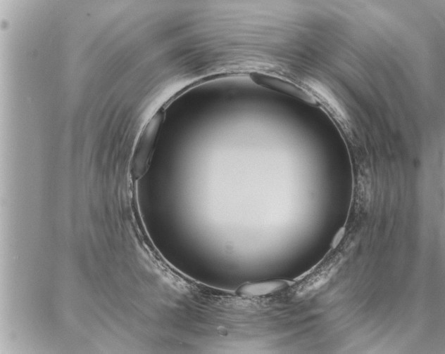 X0000087390948200704201239