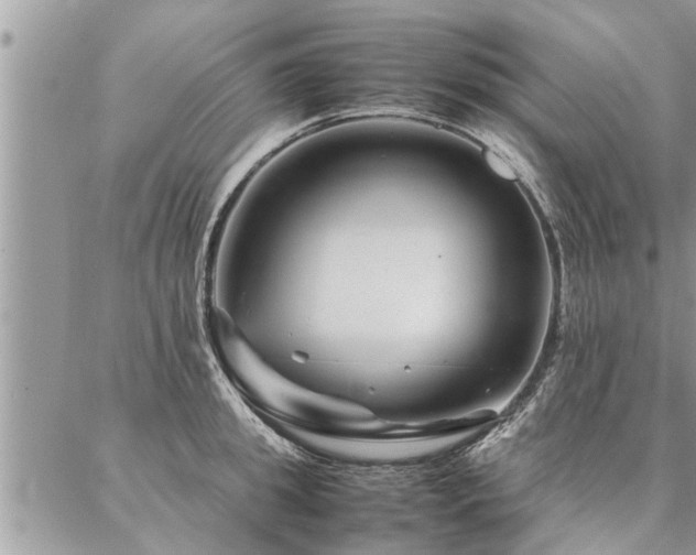 X0000087390949200704201239