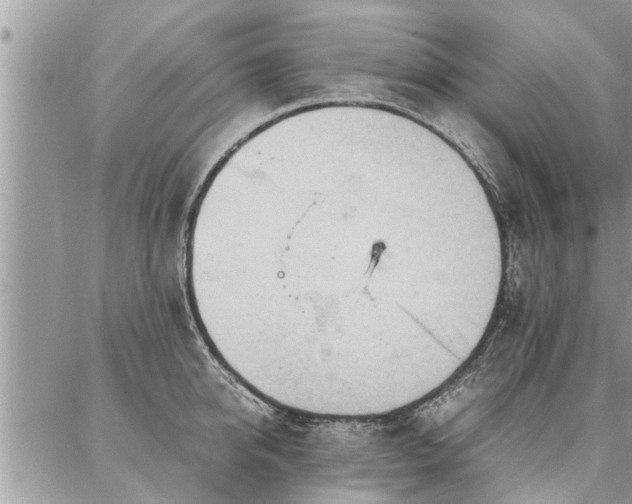 X0000087390950200704201239