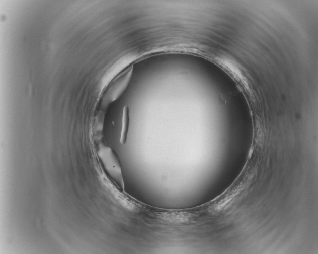 X0000087390952200704201239