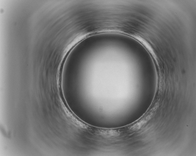 X0000087390957200704201239