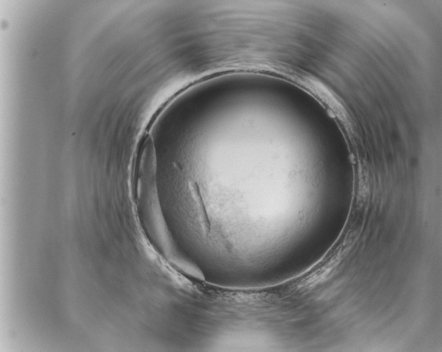 X0000087390958200704201239