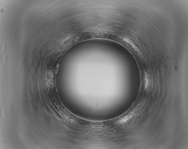 X0000087390964200704201238