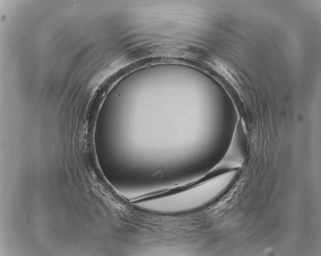 X0000087390971200704201238