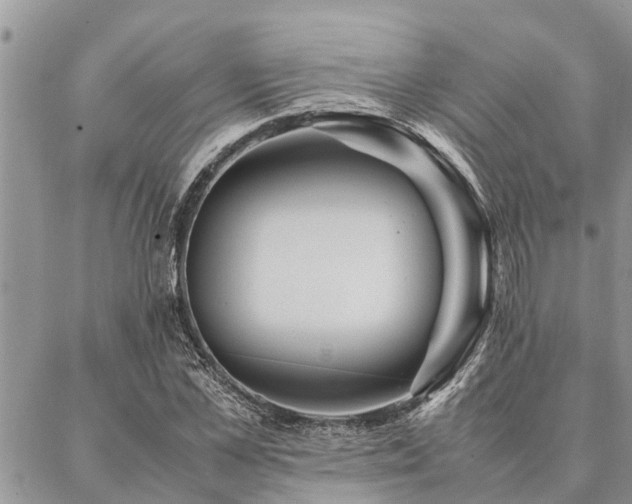 X0000087390973200704201238