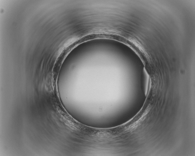 X0000087390974200704201238