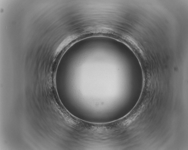 X0000087390978200704201238