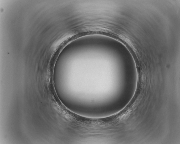 X0000087390979200704201238