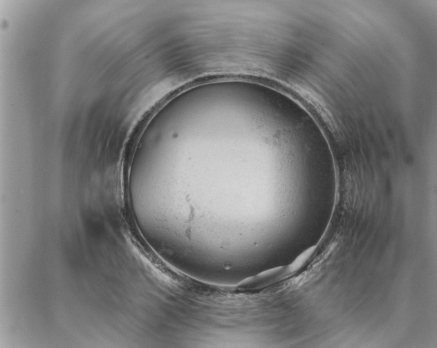 X0000087390982200704201238