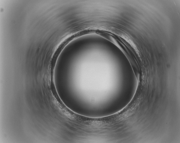 X0000087390984200704201238