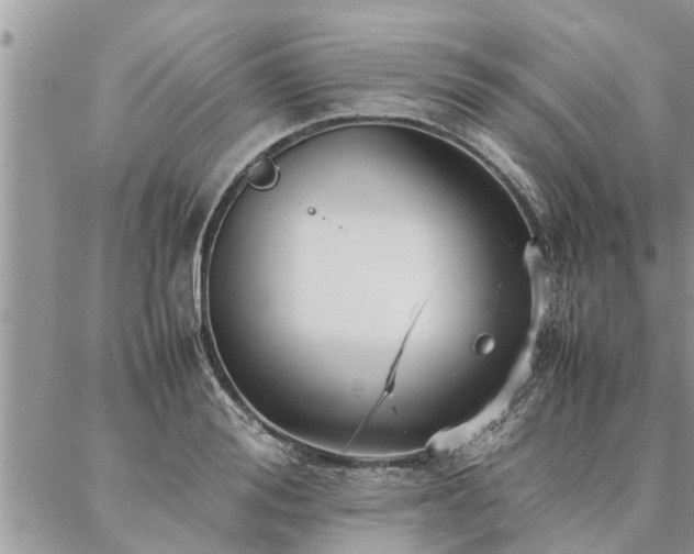 X0000087390988200704201238