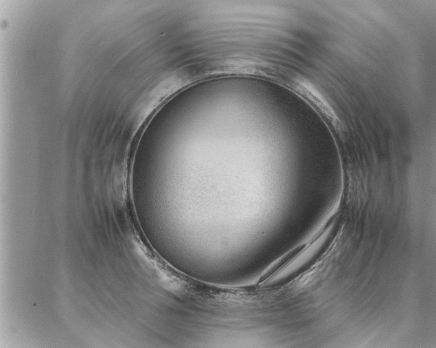 X0000087390994200704201238