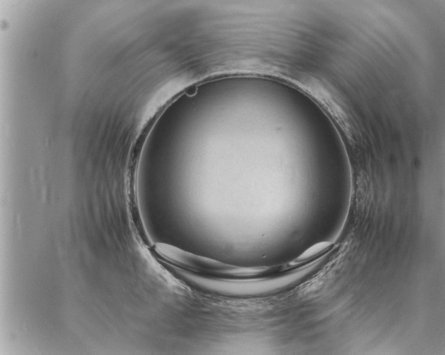 X0000087390998200704201238