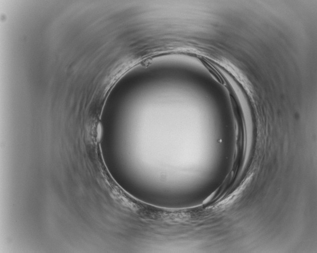 X0000087391001200704201237