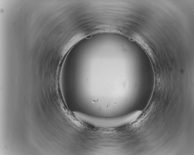 X0000087391002200704201237