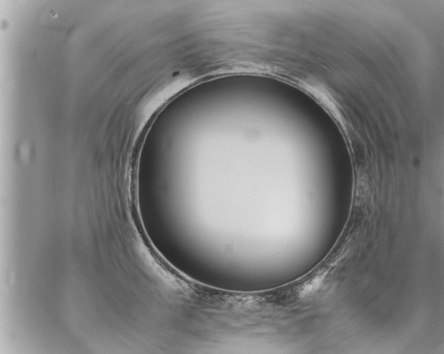 X0000087391003200704201237