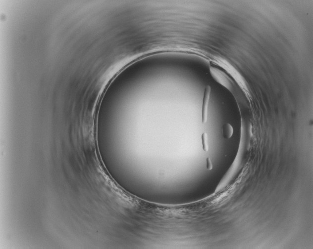 X0000087391004200704201237