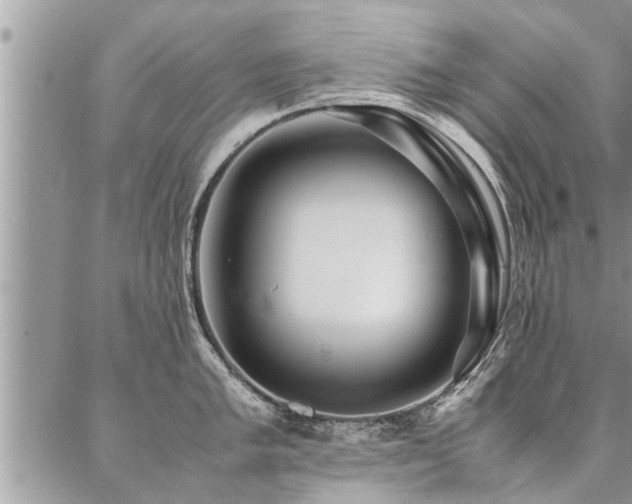 X0000087391005200704201237