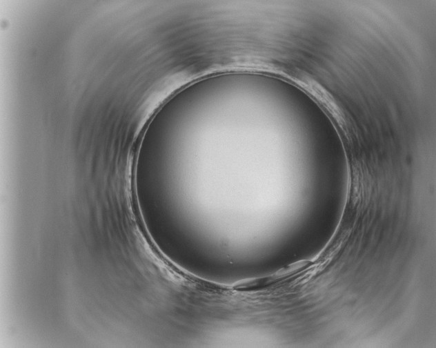 X0000087391006200704201237