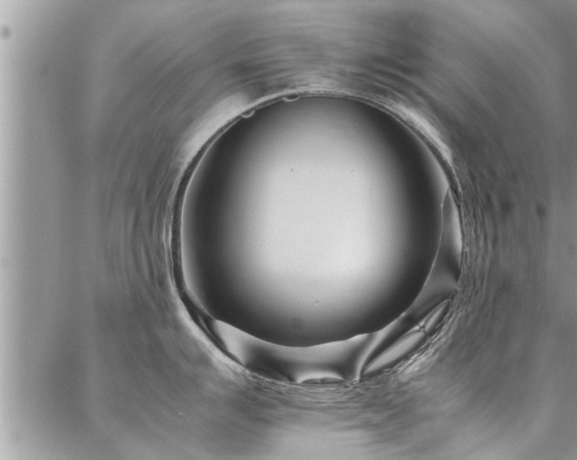 X0000087391007200704201237