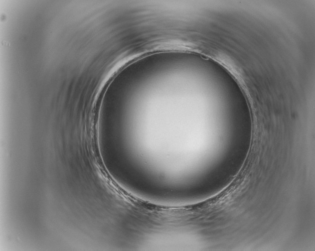 X0000087391008200704201237