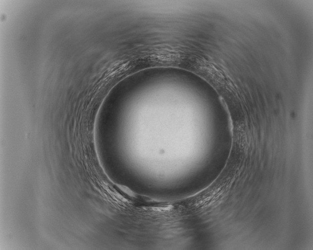 X0000087391009200704201237