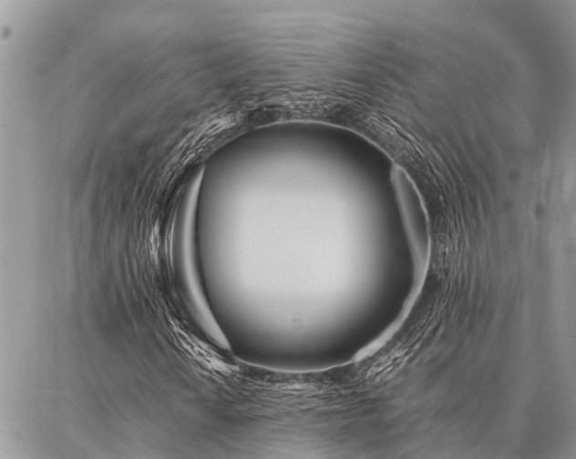 X0000087391010200704201237