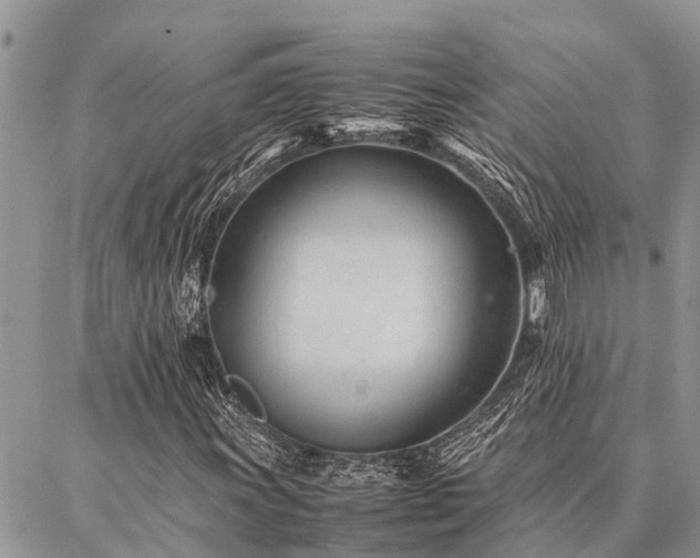 X0000087391011200704201237