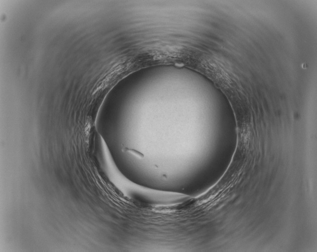 X0000087391012200704201237