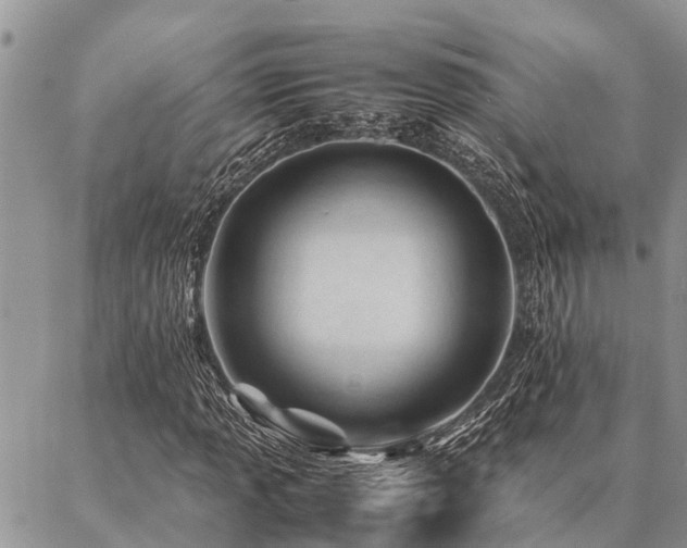 X0000087391013200704201237