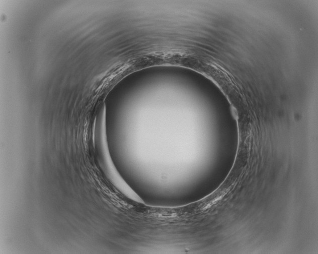 X0000087391014200704201237