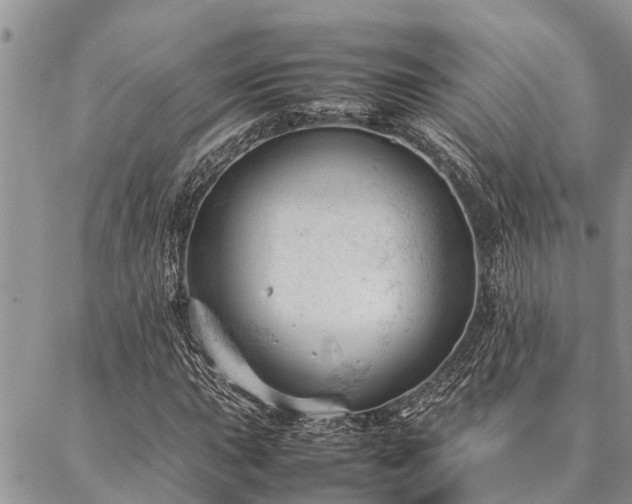 X0000087391015200704201237