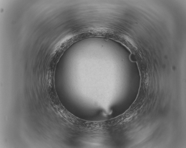 X0000087391016200704201237