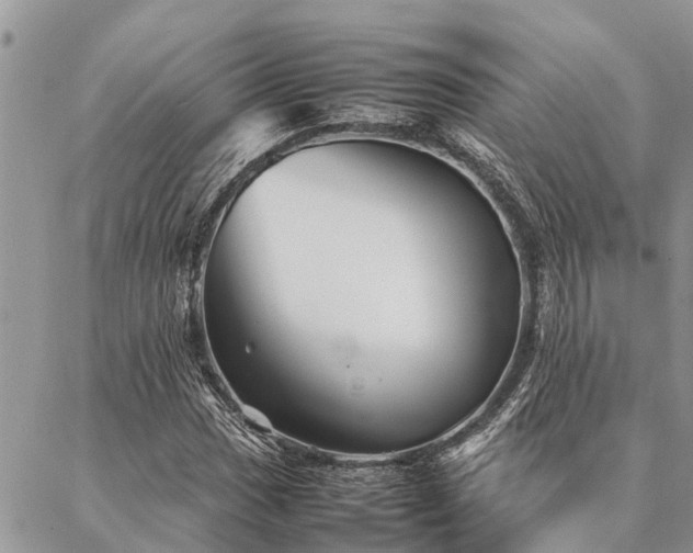 X0000087391017200704201237