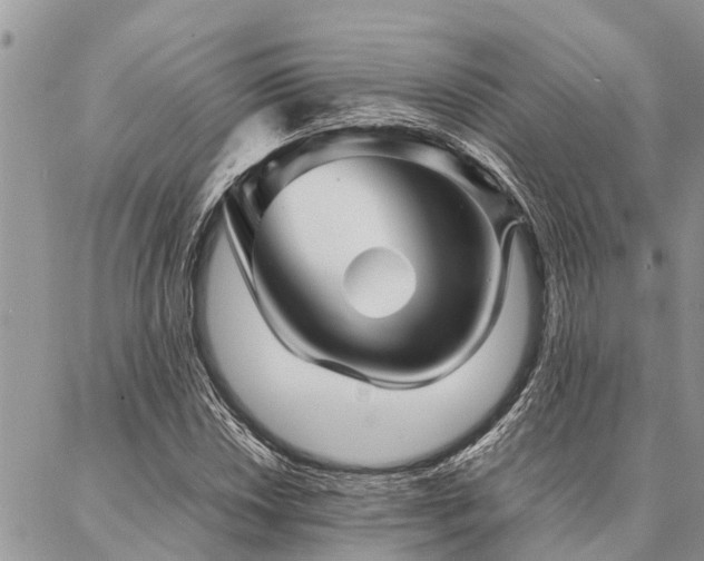 X0000087391018200704201237