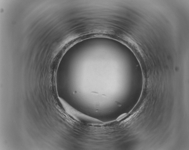 X0000087391019200704201237