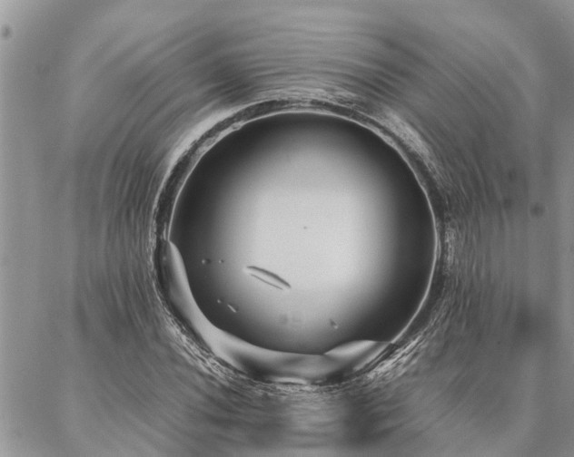 X0000087391020200704201237