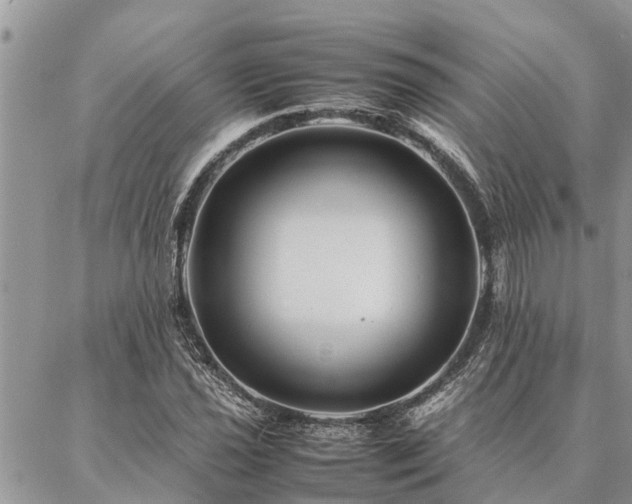 X0000087391021200704201237