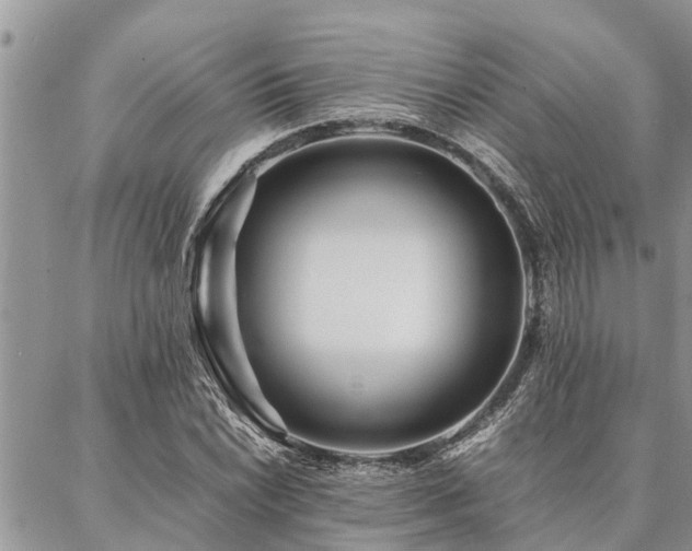 X0000087391022200704201237