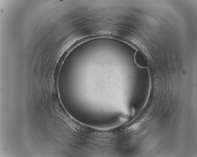 X0000087391023200704201237