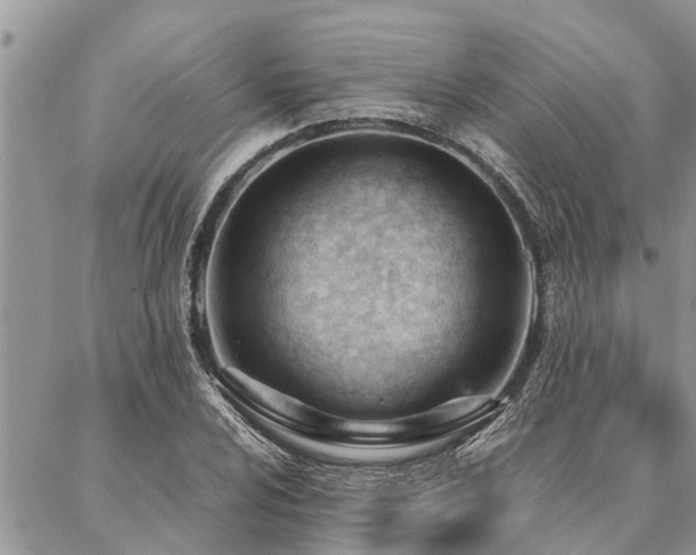 X0000087391024200704201237