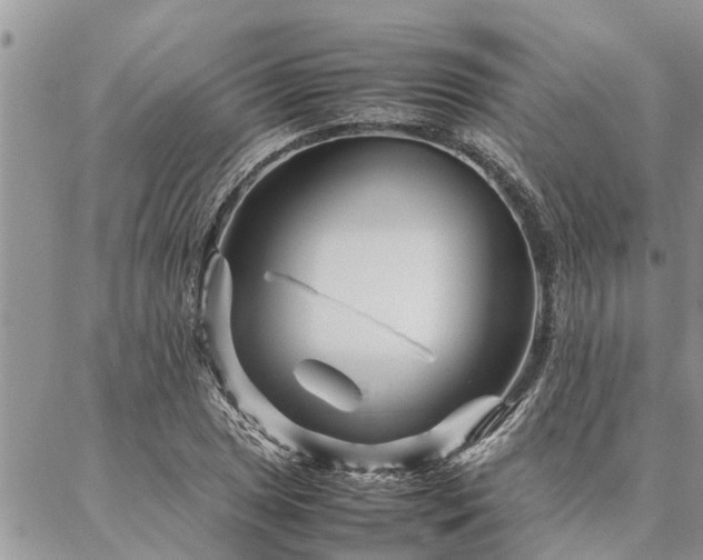 X0000087391025200704201237