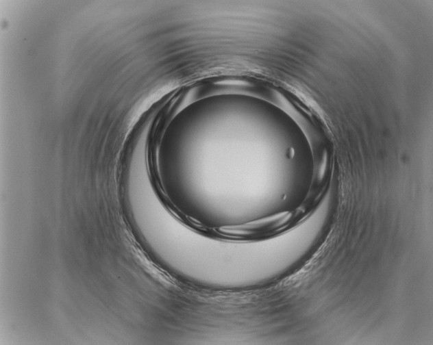 X0000087391026200704201237